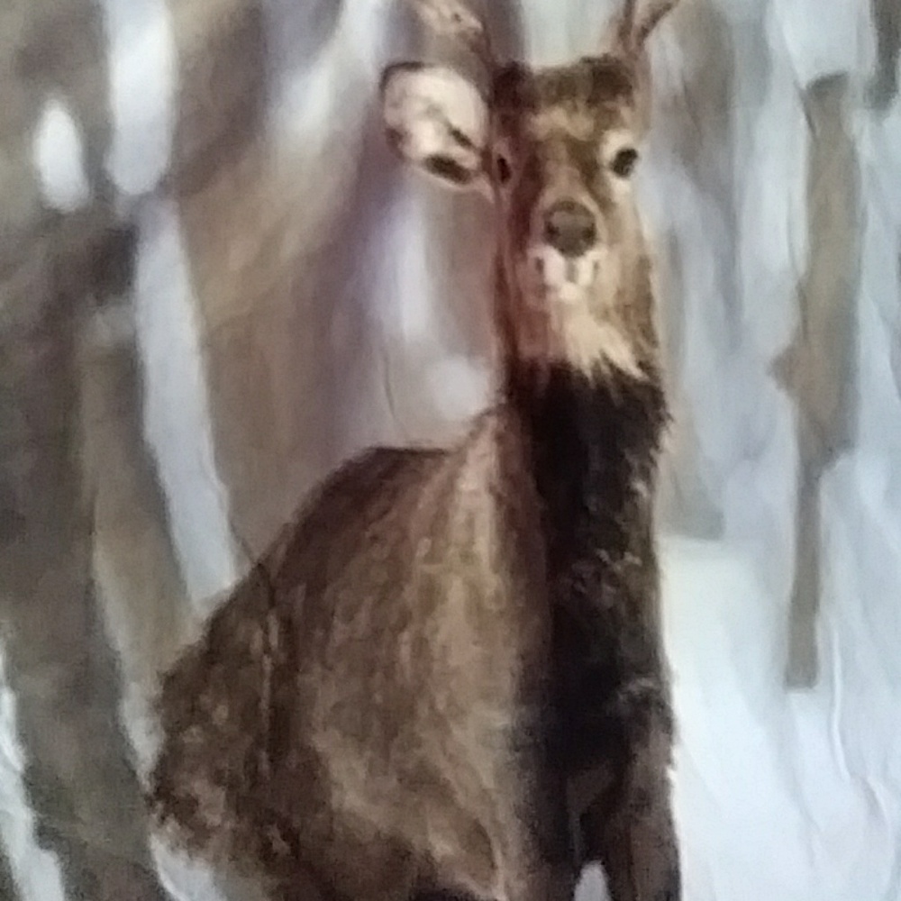 Matching deer throw and mug set